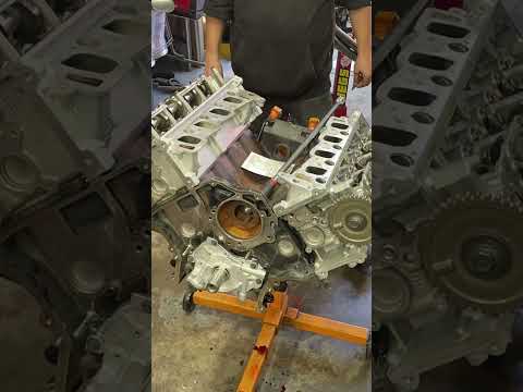 Ford 4.6 2v pi heads swapped and timing done #crownvic #mustang #enginebuild #ford #timelapse #cars