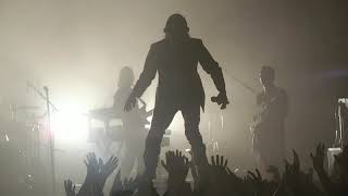 Cage The Elephant - Sabertooth Tiger (Live in Hamburg, 2020)