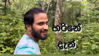 අනුත්තර ඇත්තට මැරුවද? නිර්වාන් එතකොට?