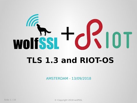 RIOT Summit 2018 @ Amsterdam - TLS v1.3 and RIOT OS