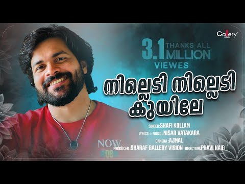 നില്ലെടി നില്ലെടി കുയിലേ..│Shafi Kollam│Nilledi Nilledi Kuyile│ Malayalam Album song│Gallery Vision