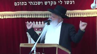 צדיק ורע לו רשע וטוב לו | חלק ב | הרב דניאל זר
