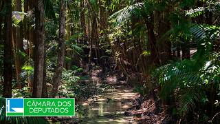  Discussão e votação de propostas legislativas - 10/02/2026 13:00