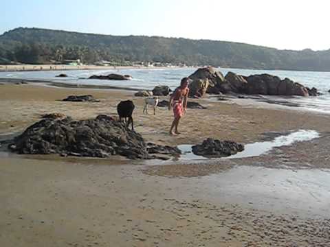 kudle beach 2011