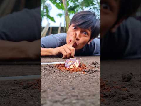 Don't make a sound because millipedes really like fruit-flavored c4ndy #shortvideo #millipede