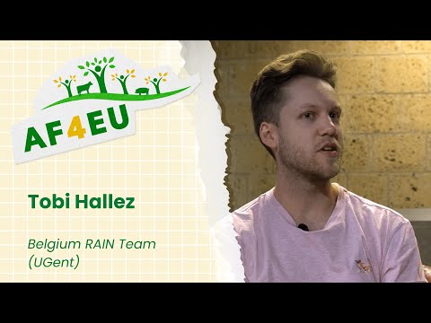 Interview with Tobi Hallez (UGent) - Exploring our RAINs