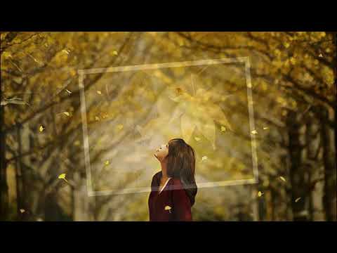 Thu đi - Hồng Hải