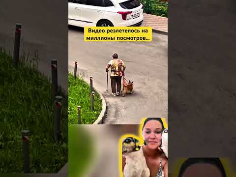 Спасибо вам,Люди😭💔🙏 #помощь #спасение #собака #собаки #добро #человек #реакция #реакции #топ #рек