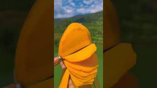 Download lagu Mangga manis banget mp3 Download lagu Mangga manis banget mp3