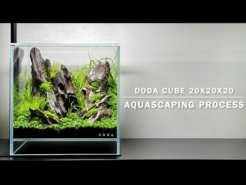 DOOA Neo Glass Air, planting process, Unboxing ONF Flat Nano + (4K video)