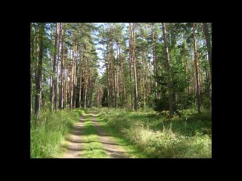 "Droga donikąd" -  Józef Mackiewicz(audiobook).