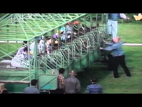 Nagroda Widzowa - 4.06.1995 - Salin (Five Star Camp - Sally)