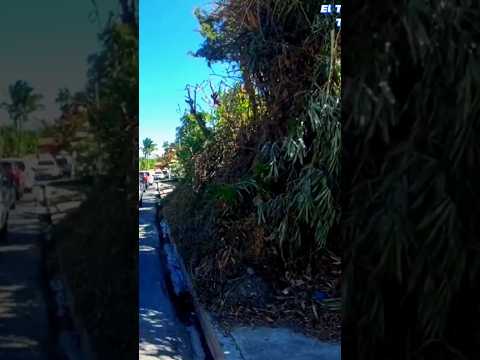 Santa Cruz Analquito depto Cuscatlan