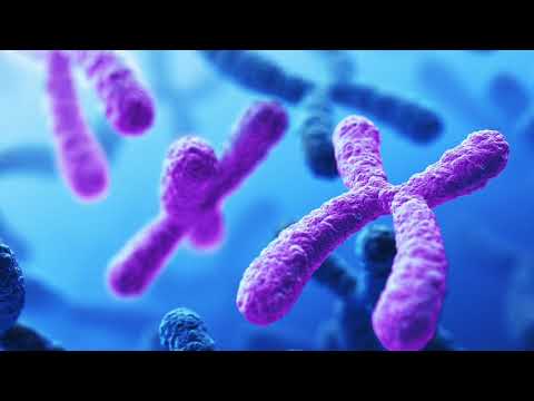 Tool - 46 & 2 [Vocal Cover]