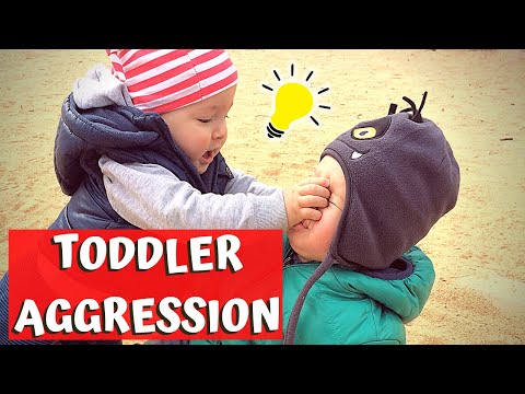 WHAT TO DO ABOUT AGGRESSION Toward Others in TODDLERS & Small Children