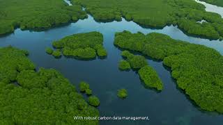 Asus Carbon Data Management Platform (2026 ESG Launch Ad)