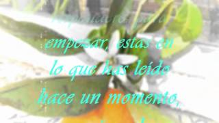 OM NAMO GURU DEV NAMO.avi