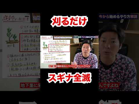 スラブ間の除草方法は？化学的または自然のどちらの方法を好むべきですか?  庭園