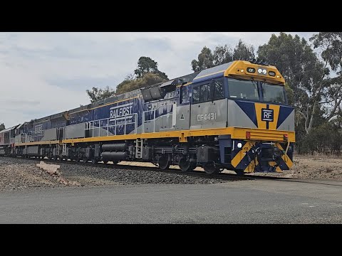 7MA9 SCT Freighter (CF4431+CF4429+CSR023+CSR001), Laverton to Penfield, 705, 17/11/24, Armstrong VIC