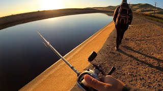 Striper Fishing on The CA Aqueduct | Delta Mendota Canal