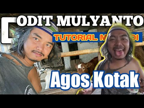 🔴 TUTORIAL MENJADI AGOS KOTAK || DODIT MULYANTO