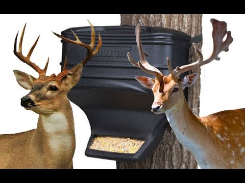 DEER FEEDER FOR UNDER $20! Moultrie Feed Station