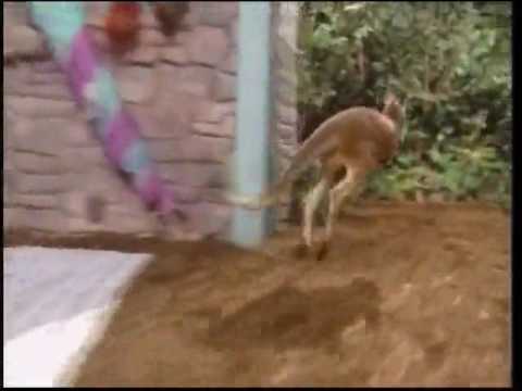 Zoboomafoo: Grow Zoboo Grow (HQ) Part 2/2