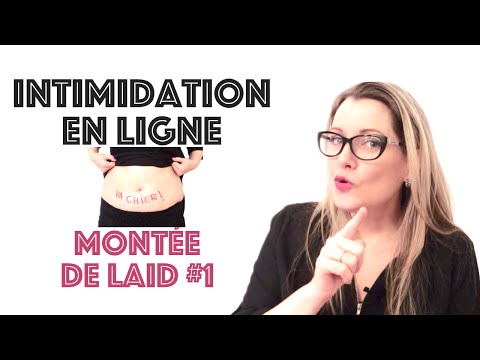 L’intimidation en ligne – Montée de laids!