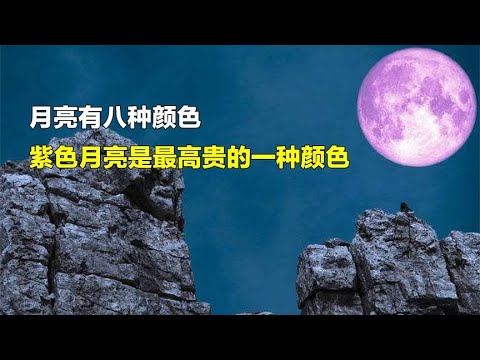 紅色代表什麼心情