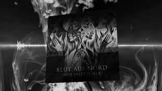 BLUT AUS NORD - Abisme