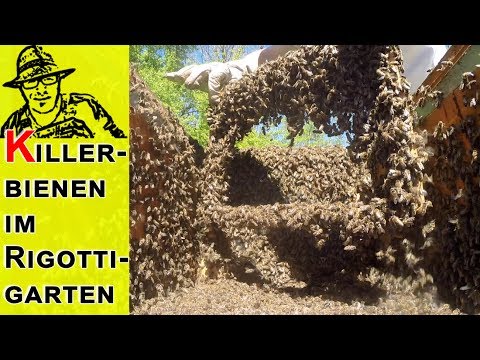 Ð¾Ñ Ñ, ÐμÐ¾Ñ ... онÐÑ € оР· Ð³Ð²Ñ ... Ð¿Ð²Ñ ... MRT der Brustwirbelsäule Kyphose