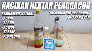 Download lagu CARA MEMBUAT PAKAN RACIKAN NEKTAR KOLIBRI SOGON KONIN KOWUL KORLAP PIJANTUNG AGAR CEPAT GACOR mp3