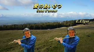 Download lagu 愛のあいさつ / Salut d'amour  E. Elgar mp3