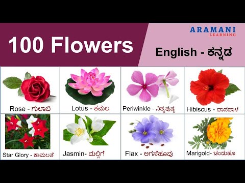 Flowers | ಹೂವುಗಳು | English and Kannada