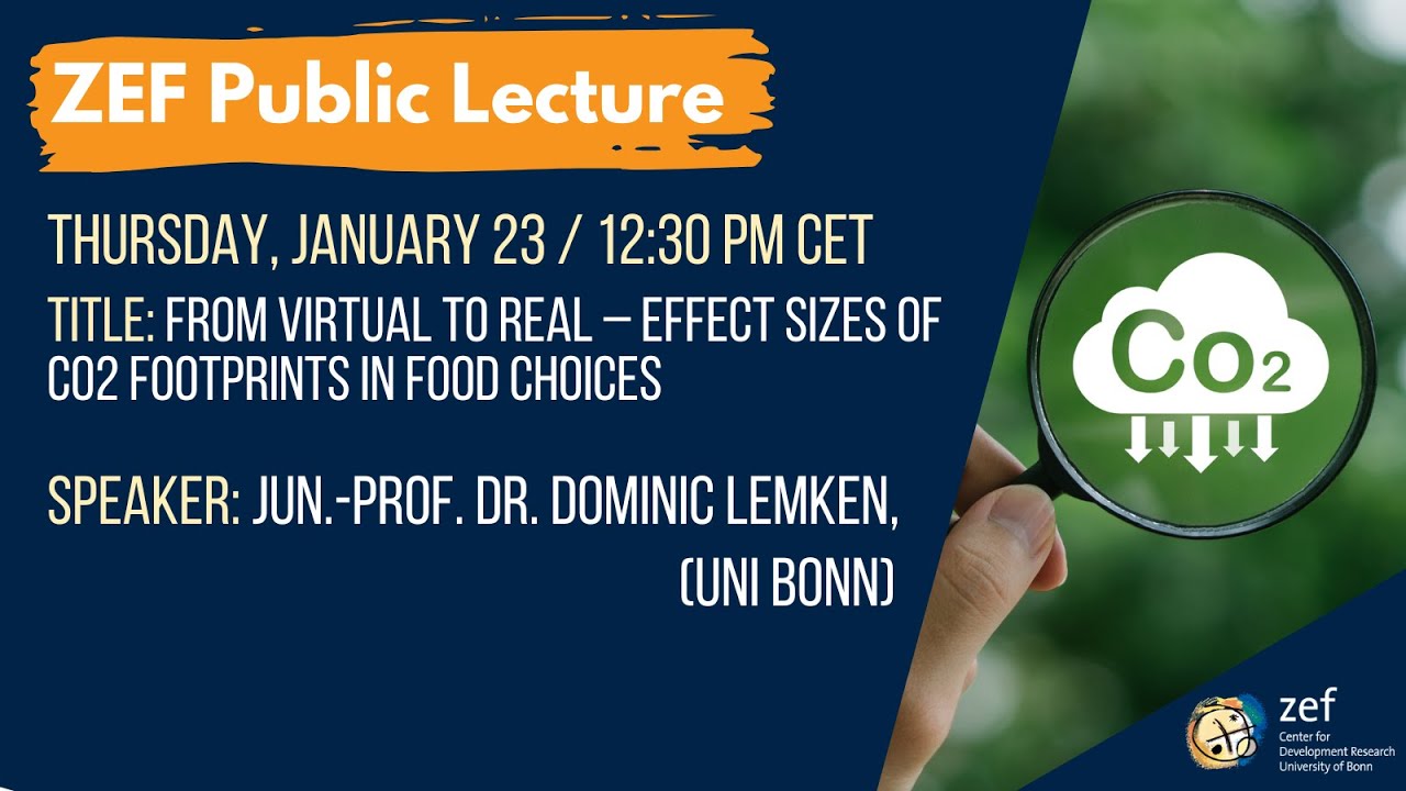 From Virtual to Real – Effect Sizes of CO2 footprints in Food Choices