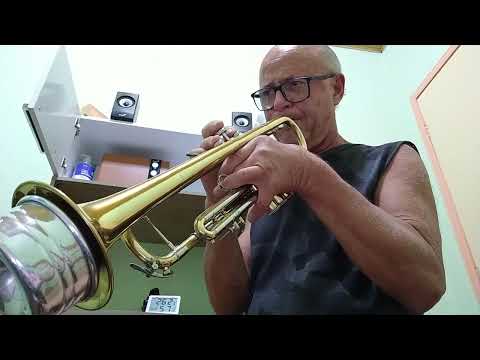 Roberto Przybylski - Tony Hatch, Beautiful in The Rain