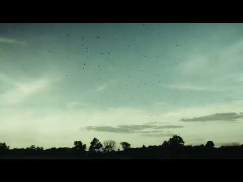 Steinza - Wait And See (Official Lyric Video)