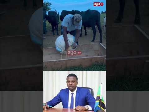 ALIYEKUWA WAZIRI WA MAMBO YA NDANI BASHUNGWA KATIKA HARAKATI ZA UFUGAJI JIMBONI KARAGWE.