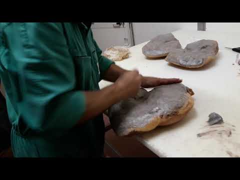 Ciemme Carni srl Prosciuttificio