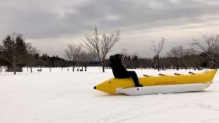 秋田県立北欧の杜公園