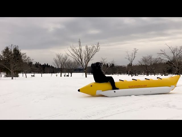 秋田県立北欧の杜公園