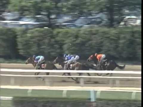 Meadow Star - 1991 Mother Goose Stakes (G1)