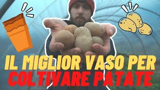 COLTIVARE LE PATATE IN VASO, SUL BALCONE | GROWBAG | ORTO SUL BALCONE