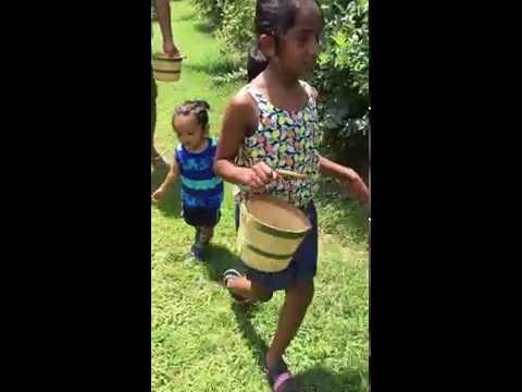 Yoshita & Akshaj Blueberry Pickup