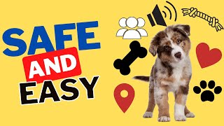 The Best and Safest Way to Socialize Young Puppies