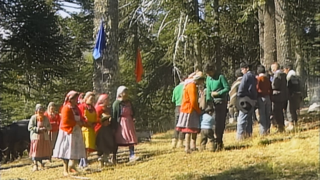 Los Últimos Pehuenches