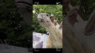 #shorts  baby vs dinosaur ｜恐竜にまったく興味ない赤ちゃん👶