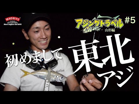 《 アジングトラベル vol.5 》はじめまして東北のアジ！絶対会いたい！根性の一匹！