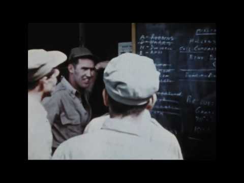 First Fighters of New Guinea