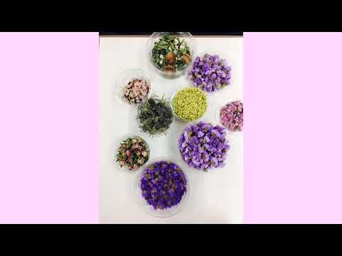 華道部古流　紹介スライド